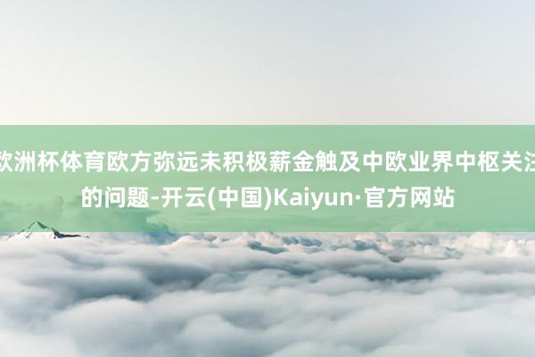 欧洲杯体育欧方弥远未积极薪金触及中欧业界中枢关注的问题-开云(中国)Kaiyun·官方网站