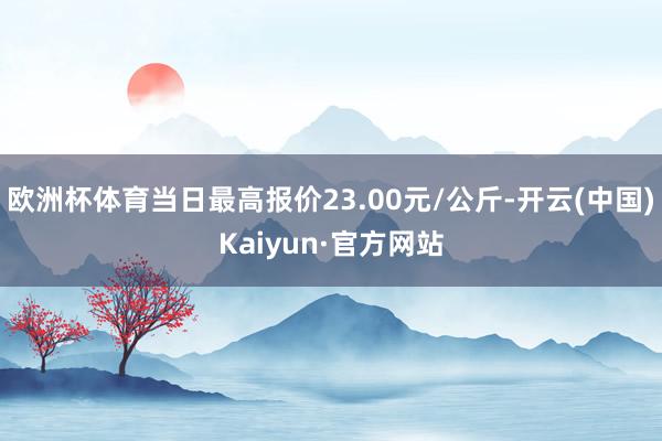 欧洲杯体育当日最高报价23.00元/公斤-开云(中国)Kaiyun·官方网站