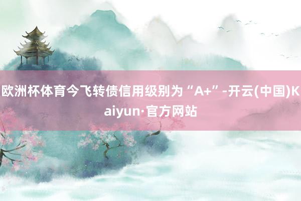 欧洲杯体育今飞转债信用级别为“A+”-开云(中国)Kaiyun·官方网站