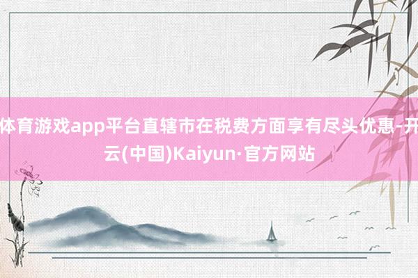 体育游戏app平台直辖市在税费方面享有尽头优惠-开云(中国)Kaiyun·官方网站